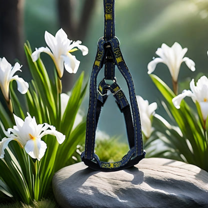 [Small to Large Adjustable Harness] Denim Dog Harness and Leash Set - Adjustable, Comfort Fit for Small to Large Breeds - Durable Polyester Material, Pulling Rope, Teddy