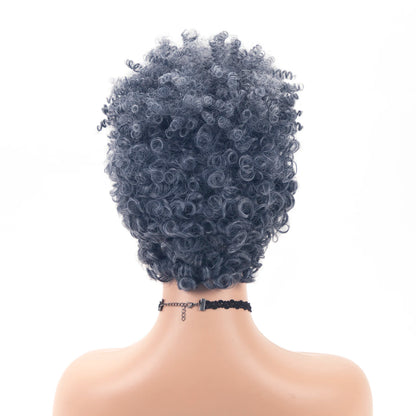 Perruque Afro Synthétique Courte Crépue Bouclée pour Femmes Noires, Blonde à Noire, Naturelle Comme Vrais Cheveux, Cosplay, ix