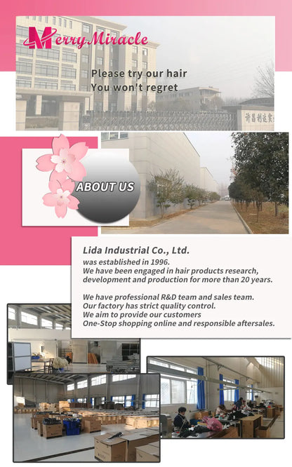 Perruques synthétiques lisses et crépues pour femmes noires, mélange de mèches noires, brunes, blondes, gingembre, rouges et blanches