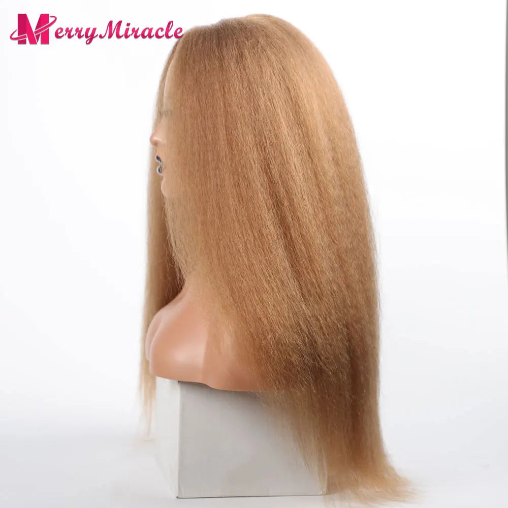 Perruques synthétiques lisses et crépues pour femmes noires, mélange de mèches noires, brunes, blondes, gingembre, rouges et blanches