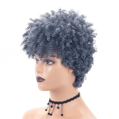 Perruque Afro Synthétique Courte Crépue Bouclée pour Femmes Noires, Blonde à Noire, Naturelle Comme Vrais Cheveux, Cosplay, ix