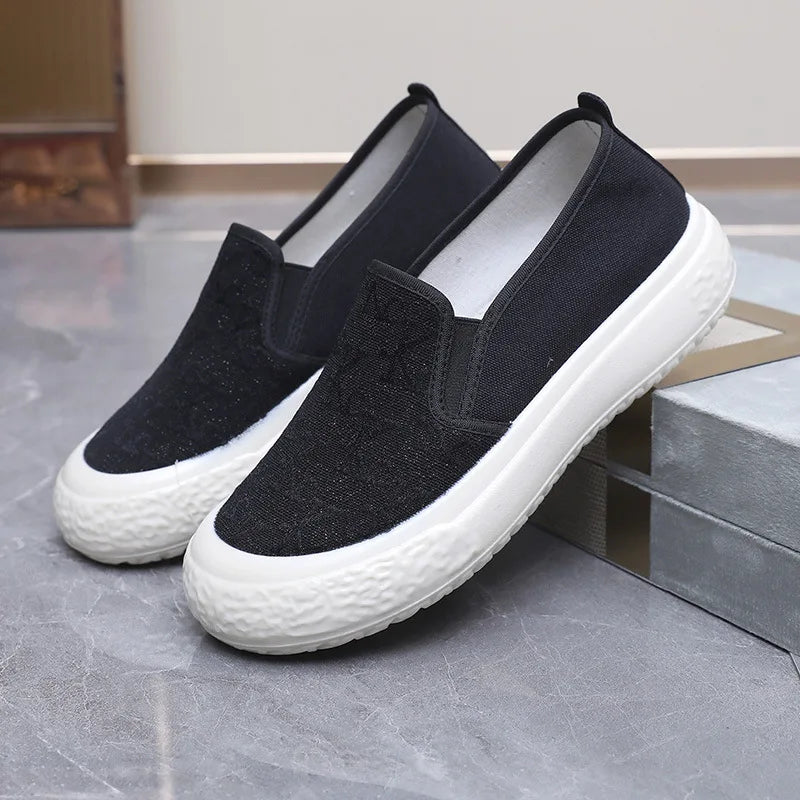 Spring and Autumn New Korean Fashion Shoes Thick Sole Versatile Canvas Shoes
