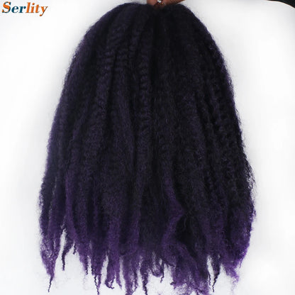 Marley Twist cheveux tressés pré - étirés pack de 1 - 6 ombre boucles africaines crochet cheveux tressés pour faux locs Jumbo Marley Twist cheveux
