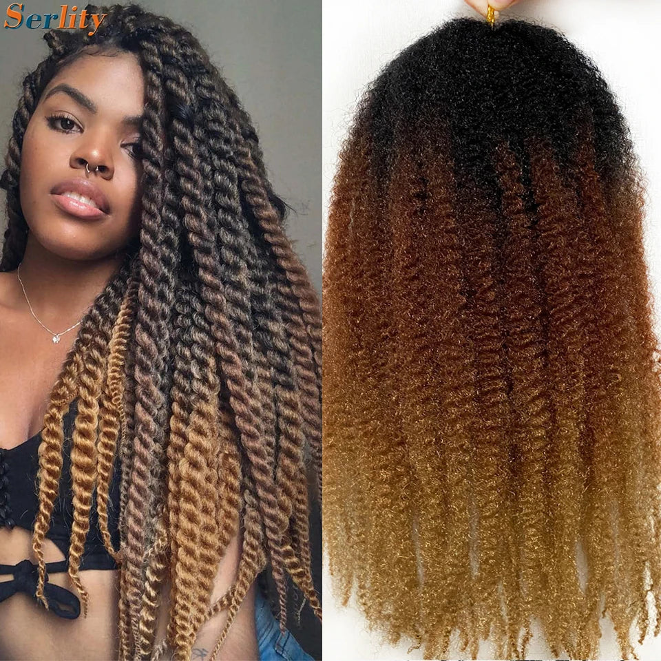 Marley Twist cheveux tressés pré - étirés pack de 1 - 6 ombre boucles africaines crochet cheveux tressés pour faux locs Jumbo Marley Twist cheveux