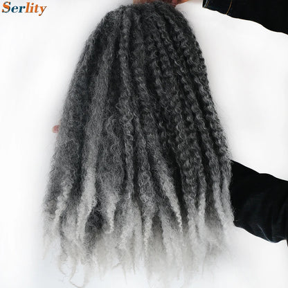 Marley Twist cheveux tressés pré - étirés pack de 1 - 6 ombre boucles africaines crochet cheveux tressés pour faux locs Jumbo Marley Twist cheveux