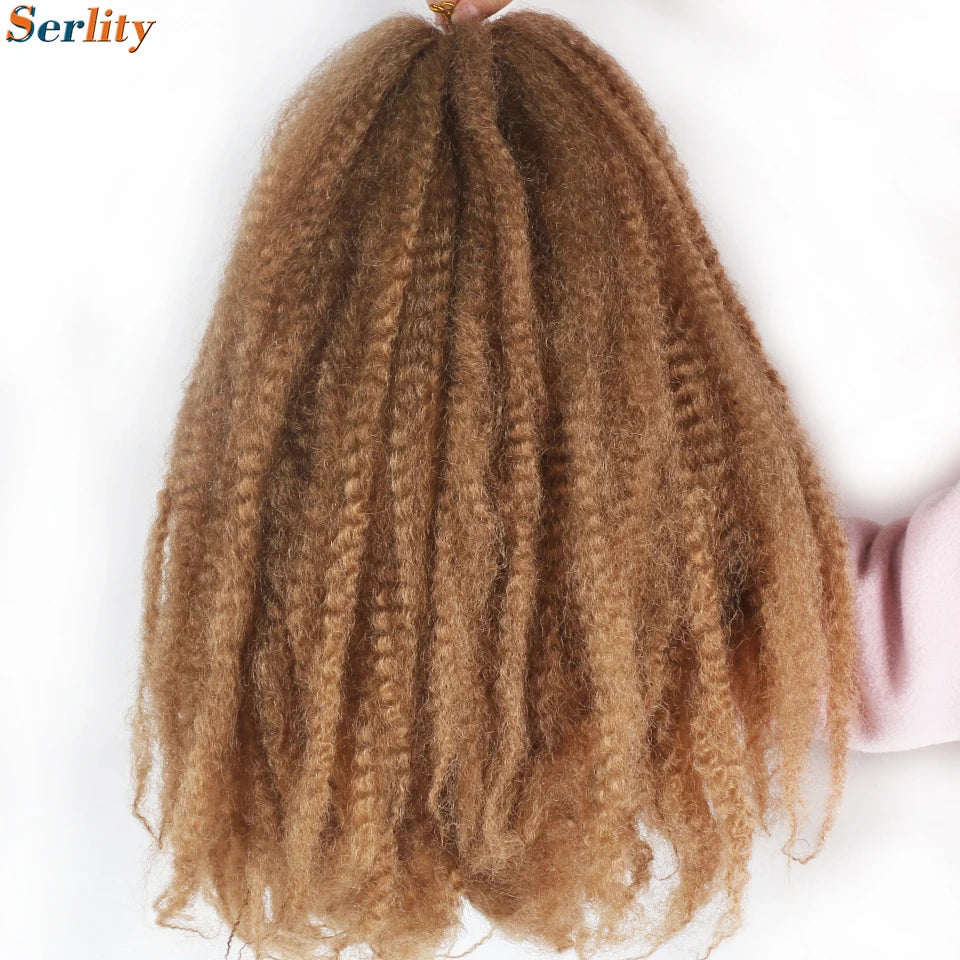 Marley Twist cheveux tressés pré - étirés pack de 1 - 6 ombre boucles africaines crochet cheveux tressés pour faux locs Jumbo Marley Twist cheveux