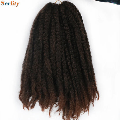 Marley Twist cheveux tressés pré - étirés pack de 1 - 6 ombre boucles africaines crochet cheveux tressés pour faux locs Jumbo Marley Twist cheveux