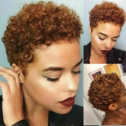 Perruque Afro Synthétique Courte Crépue Bouclée pour Femmes Noires, Blonde à Noire, Naturelle Comme Vrais Cheveux, Cosplay, ix