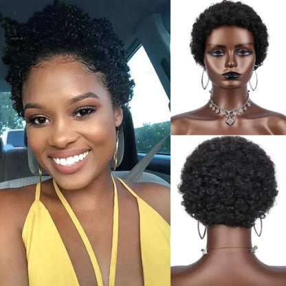 Perruque Afro Synthétique Courte Crépue Bouclée pour Femmes Noires, Blonde à Noire, Naturelle Comme Vrais Cheveux, Cosplay, ix