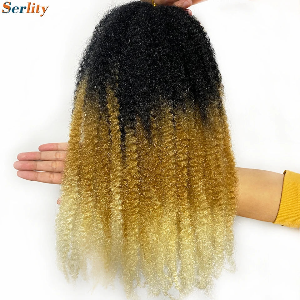 Marley Twist cheveux tressés pré - étirés pack de 1 - 6 ombre boucles africaines crochet cheveux tressés pour faux locs Jumbo Marley Twist cheveux