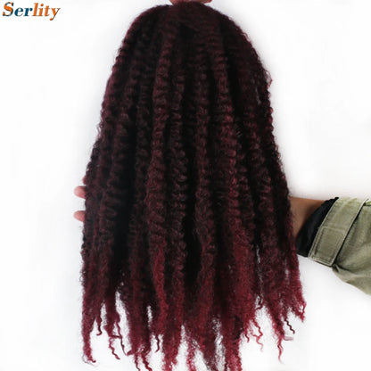 Marley Twist cheveux tressés pré - étirés pack de 1 - 6 ombre boucles africaines crochet cheveux tressés pour faux locs Jumbo Marley Twist cheveux