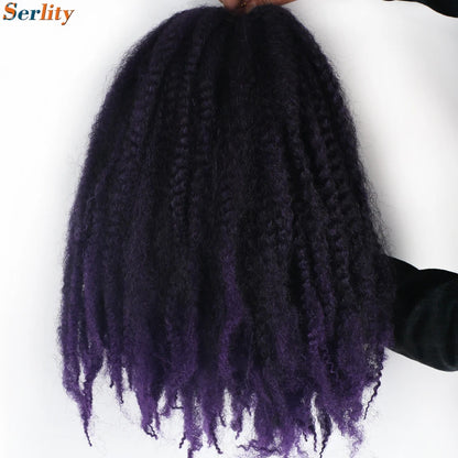 Marley Twist cheveux tressés pré - étirés pack de 1 - 6 ombre boucles africaines crochet cheveux tressés pour faux locs Jumbo Marley Twist cheveux