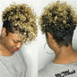 Perruque Afro Synthétique Courte Crépue Bouclée pour Femmes Noires, Blonde à Noire, Naturelle Comme Vrais Cheveux, Cosplay, ix