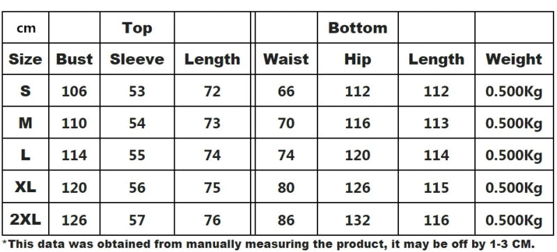 Ensemble élégant pour femmes, chemise à manches longues et pantalon droit à jambes larges, Perspective brodée, ensemble 2 pièces, survêtement, 2025 OL