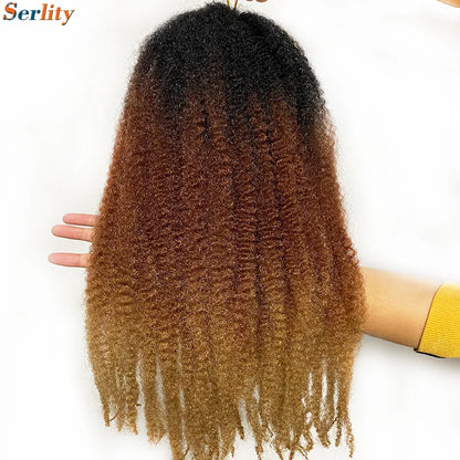 Marley Twist cheveux tressés pré - étirés pack de 1 - 6 ombre boucles africaines crochet cheveux tressés pour faux locs Jumbo Marley Twist cheveux