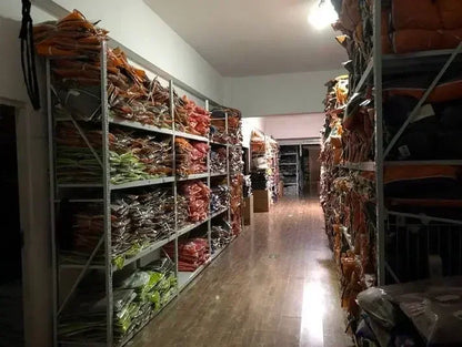 T-shirts à manches courtes et col rond pour femmes, vêtements chrétiens inspirants avec lettres imprimées, preuve de vivre d'un dieu aimant