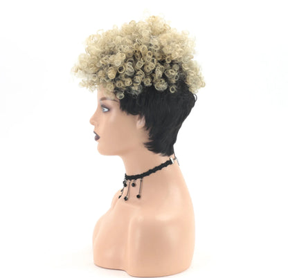 Perruque Afro Synthétique Courte Crépue Bouclée pour Femmes Noires, Blonde à Noire, Naturelle Comme Vrais Cheveux, Cosplay, ix