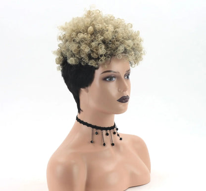 Perruque Afro Synthétique Courte Crépue Bouclée pour Femmes Noires, Blonde à Noire, Naturelle Comme Vrais Cheveux, Cosplay, ix