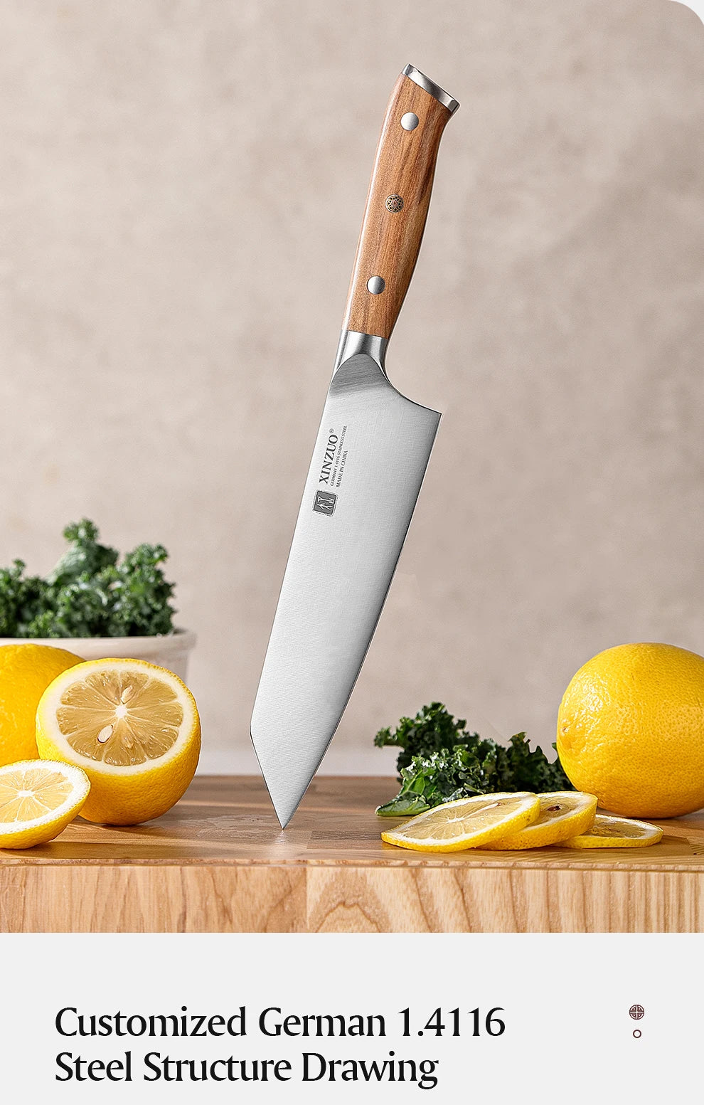 XINZUO 5,83 pouces Bunka couteau de chef allemand DIN 1.4116 acier 56 ± 2 HRC 15 ° Rivets en cuivre avec manche en bois d'olivier à 1 bords avec boîte cadeau