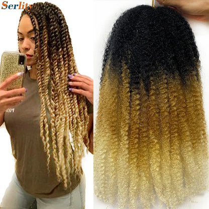 Marley Twist cheveux tressés pré - étirés pack de 1 - 6 ombre boucles africaines crochet cheveux tressés pour faux locs Jumbo Marley Twist cheveux
